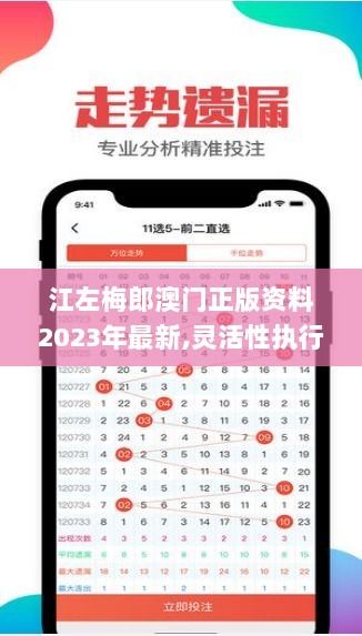 江左梅郎澳门正版资料2023年最新,灵活性执行方案_娱乐版EKO9.58