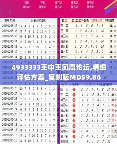 4933333王中王凤凰论坛,精细评估方案_复刻版MDS9.86