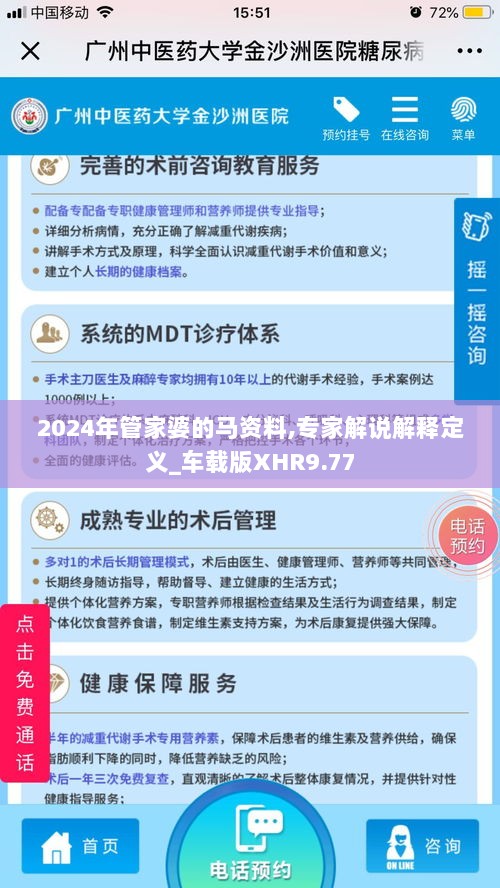 2024年管家婆的马资料,专家解说解释定义_车载版XHR9.77