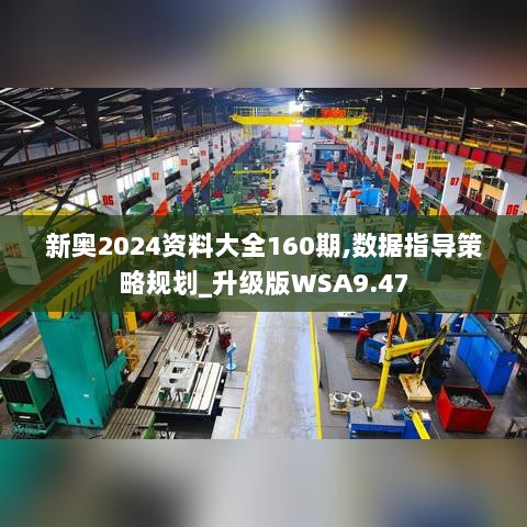 新奥2024资料大全160期,数据指导策略规划_升级版WSA9.47