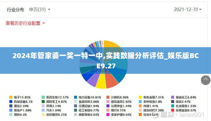 2024年管家婆一奖一特一中,实践数据分析评估_娱乐版BCE9.27