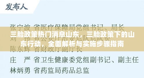 山东三胎政策热门消息及全面解析与实施步骤指南