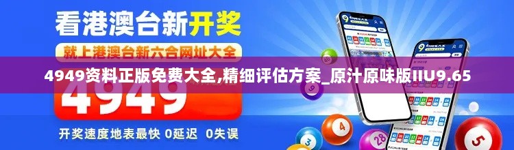 4949资料正版免费大全,精细评估方案_原汁原味版IIU9.65