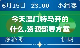 今天澳门特马开的什么,资源部署方案_悬浮版XYZ9.19