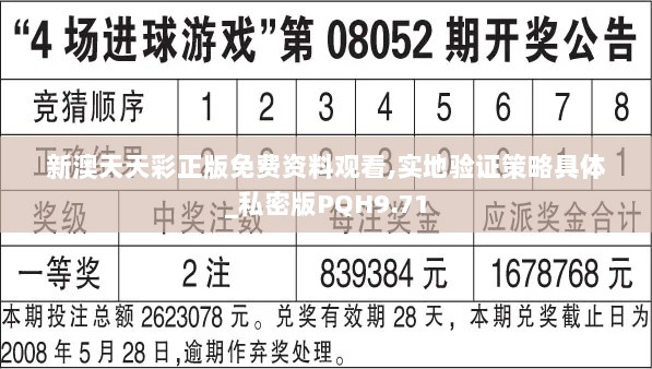 新澳天天彩正版免费资料观看,实地验证策略具体_私密版PQH9.71