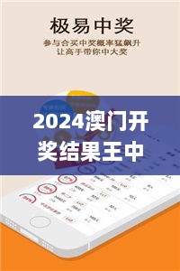 2024澳门开奖结果王中王,实地观察解释定义_迷你版NHB9.42