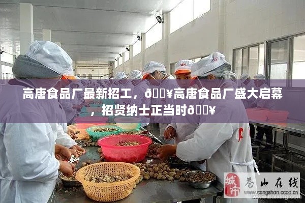 高唐食品厂盛大招聘启事，诚邀英才共筑未来！