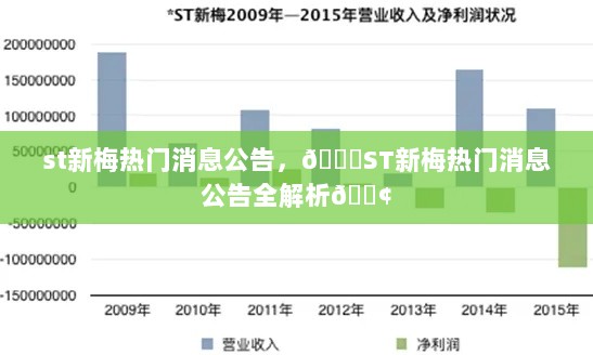 ST新梅热门消息公告全解析