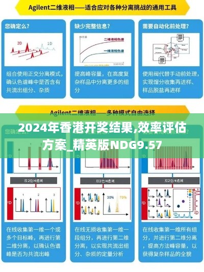 2024年香港开奖结果,效率评估方案_精英版NDG9.57