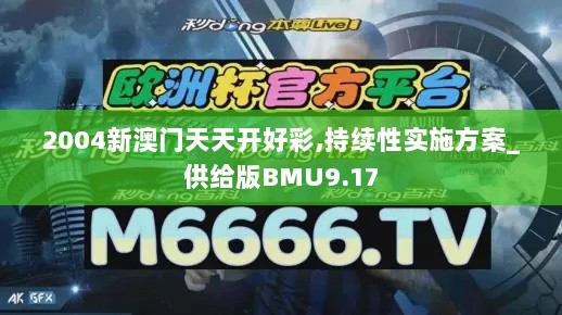 2004新澳门天天开好彩,持续性实施方案_供给版BMU9.17