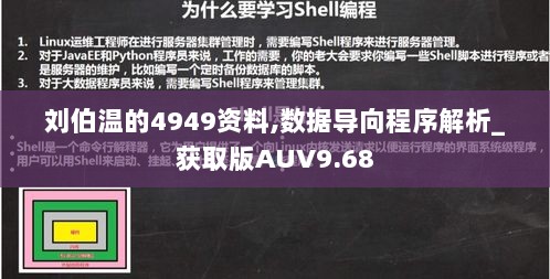 刘伯温的4949资料,数据导向程序解析_获取版AUV9.68