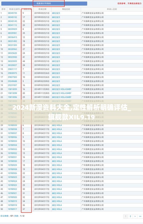 2024新澳资料大全,定性解析明确评估_旗舰款XIL9.19