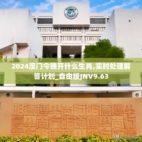 2024澳门今晚开什么生肖,实时处理解答计划_自由版JNV9.63