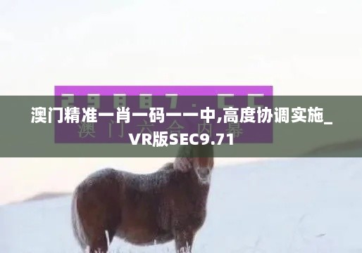 澳门精准一肖一码一一中,高度协调实施_VR版SEC9.71