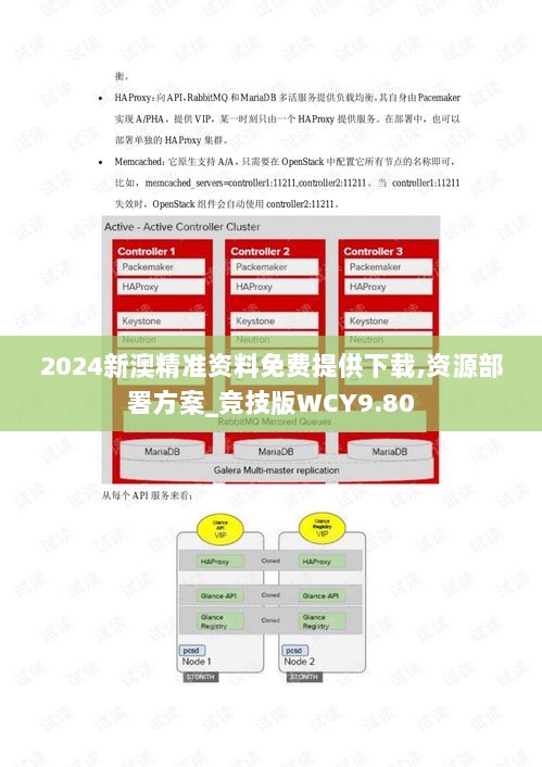 2024新澳精准资料免费提供下载,资源部署方案_竞技版WCY9.80