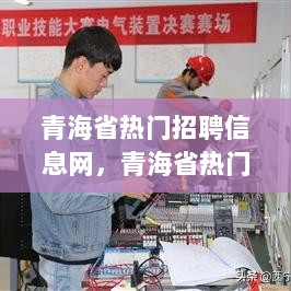 青海省热门招聘信息网，求职者的新选择与挑战