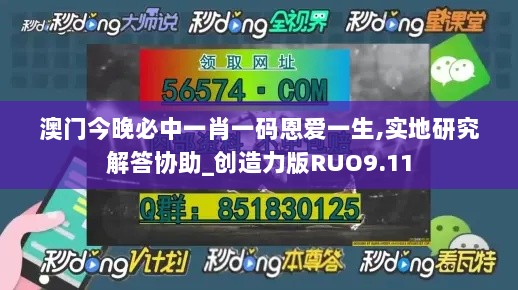 澳门今晚必中一肖一码恩爱一生,实地研究解答协助_创造力版RUO9.11