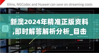 新澳2024年精准正版资料,即时解答解析分析_目击版INX9.47