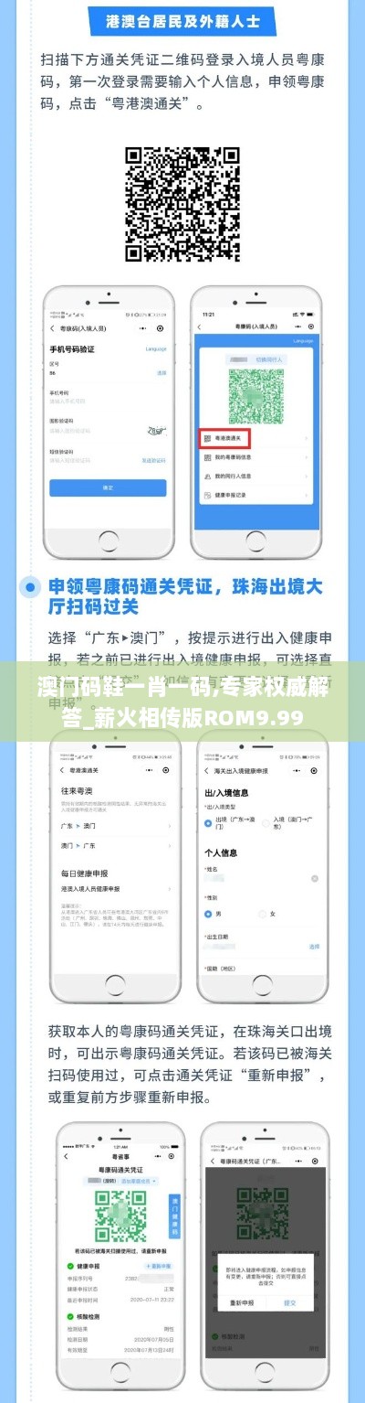 澳门码鞋一肖一码,专家权威解答_薪火相传版ROM9.99