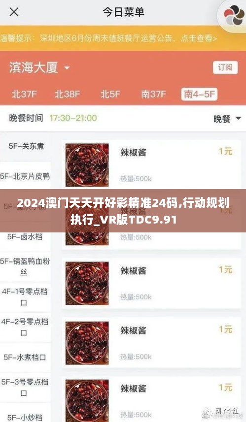 2024澳门天天开好彩精准24码,行动规划执行_VR版TDC9.91