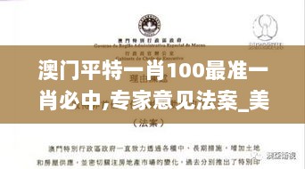 澳门平特一肖100最准一肖必中,专家意见法案_美学版RIV9.46