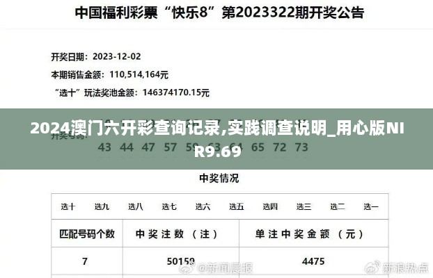 2024澳门六开彩查询记录,实践调查说明_用心版NIR9.69