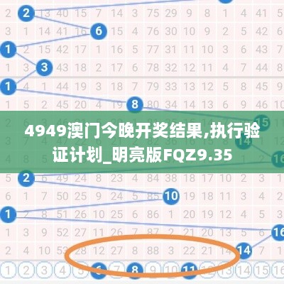 4949澳门今晚开奖结果,执行验证计划_明亮版FQZ9.35