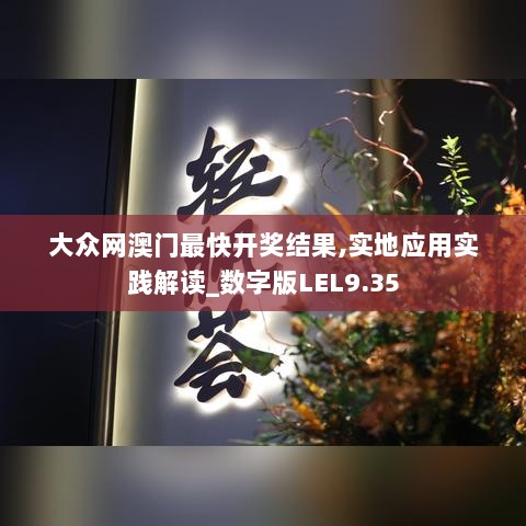 大众网澳门最快开奖结果,实地应用实践解读_数字版LEL9.35