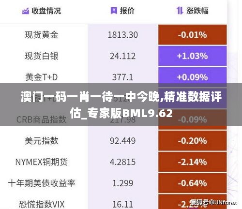 澳门一码一肖一待一中今晚,精准数据评估_专家版BML9.62