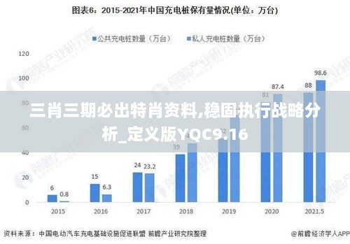 三肖三期必出特肖资料,稳固执行战略分析_定义版YQC9.16