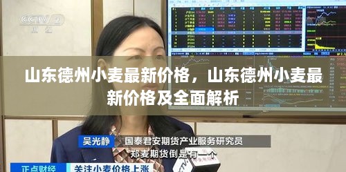 山东德州小麦最新价格全面解析