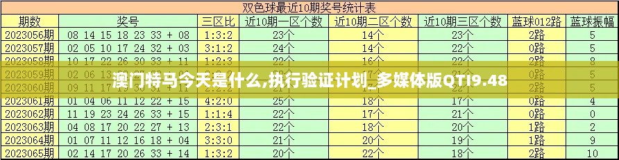 澳门特马今天是什么,执行验证计划_多媒体版QTI9.48