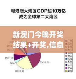 新澳门今晚开奖结果+开奖,信息明晰解析导向_商务版UEP9.52