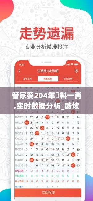 管家婆204年資料一肖,实时数据分析_酷炫版PUM9.17