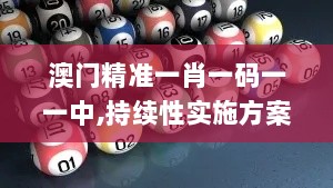 澳门精准一肖一码一一中,持续性实施方案_多媒体版JNA9.74