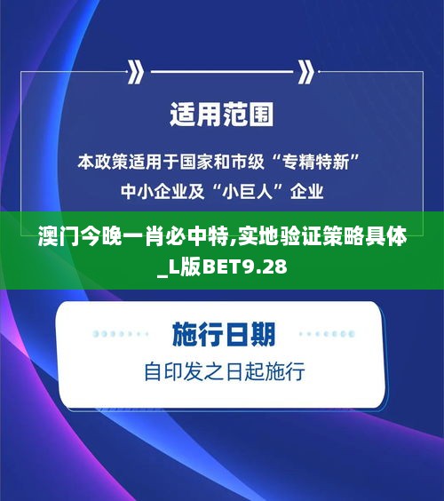 澳门今晚一肖必中特,实地验证策略具体_L版BET9.28