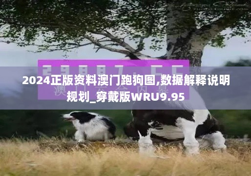 2024正版资料澳门跑狗图,数据解释说明规划_穿戴版WRU9.95