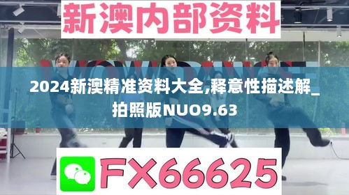 2024新澳精准资料大全,释意性描述解_拍照版NUO9.63