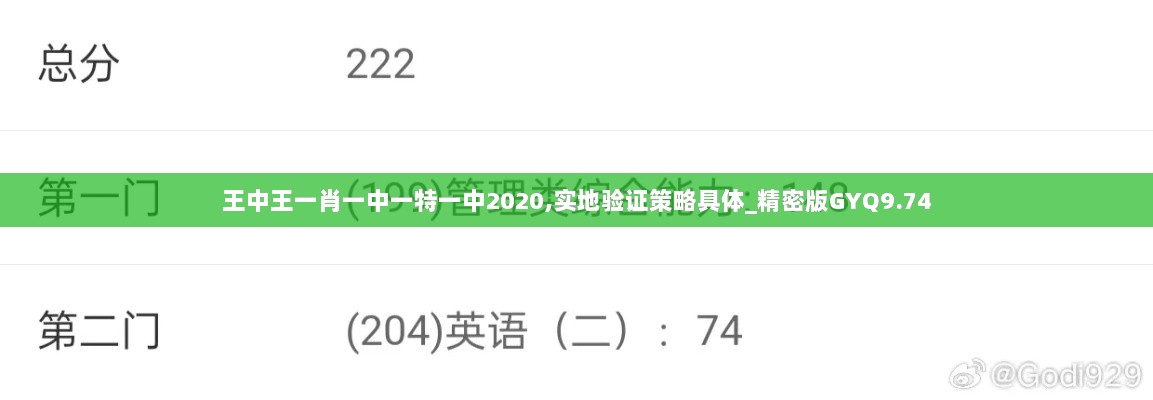 王中王一肖一中一特一中2020,实地验证策略具体_精密版GYQ9.74