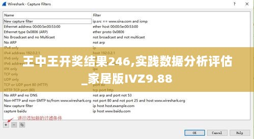 王中王开奖结果246,实践数据分析评估_家居版IVZ9.88