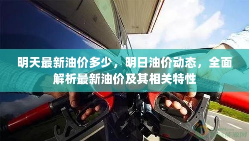 明日最新油价动态及全面解析油价的特性和影响因素