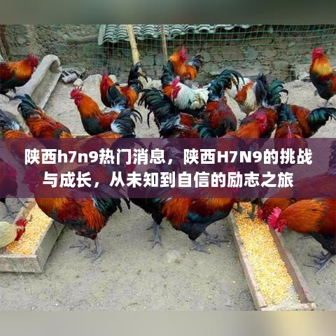 陕西H7N9挑战与成长，从未知到自信的励志之旅