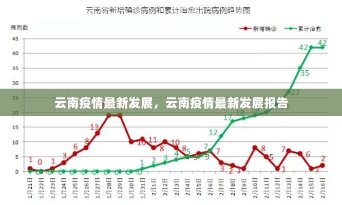 云南疫情最新发展报告