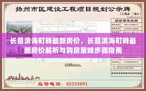 长葛滨海町畔最新房价解析及购房策略步骤指南