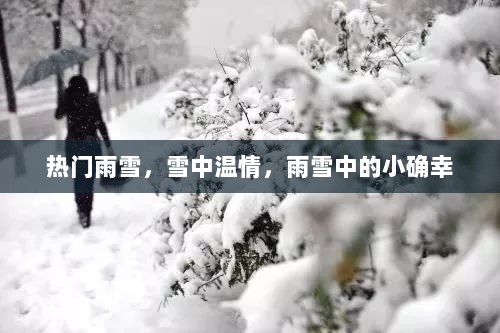 雨雪中的温情与小确幸