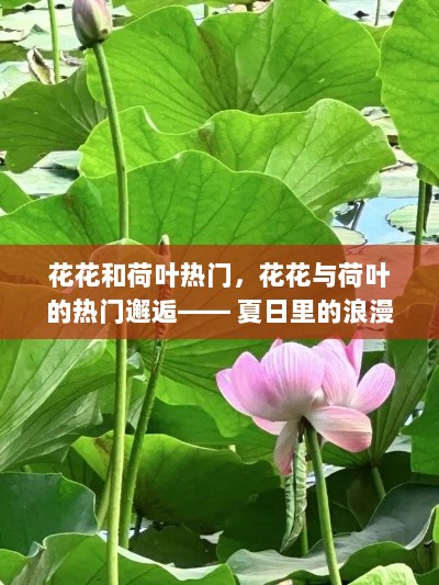 夏日浪漫与诗意，花花与荷叶的热门邂逅