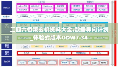 二四六香港玄机资料大全,数据导向计划_体验式版本ODW7.34