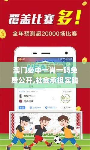 澳门必中一肖一码免费公开,社会承担实践战略_定制版GWG7.96