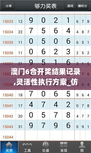 澳门6合开奖结果记录,灵活性执行方案_仿真版VKC7.39