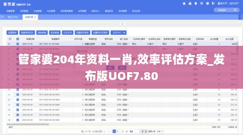 管家婆204年资料一肖,效率评估方案_发布版UOF7.80